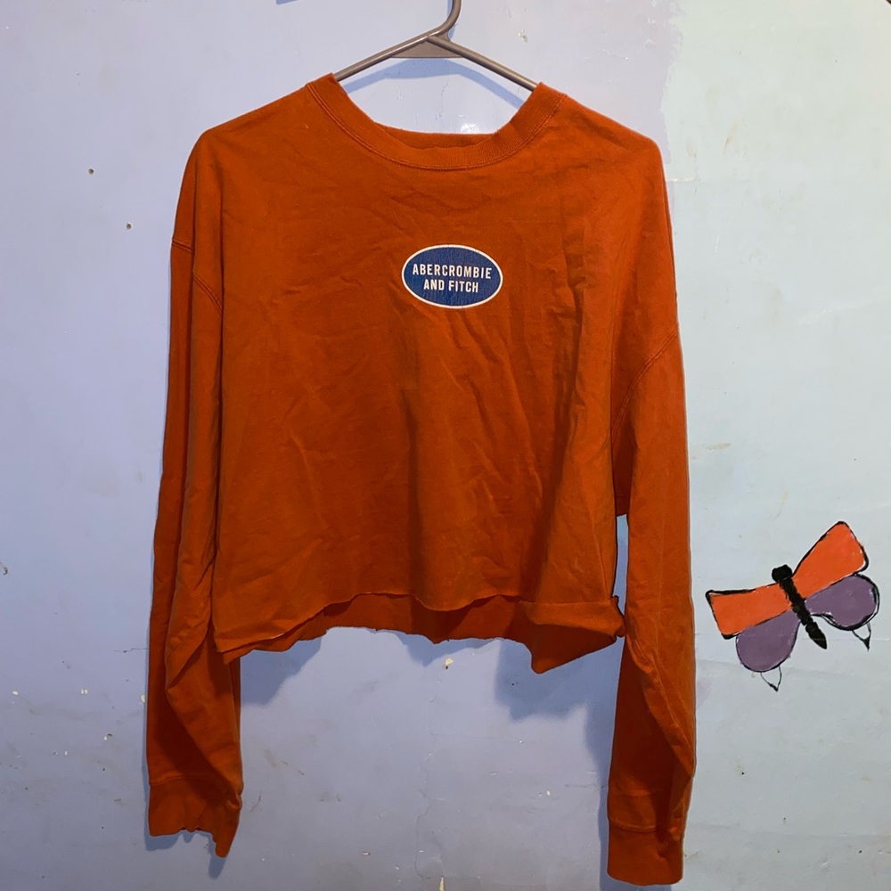 Abercrombie and fitch vintage top